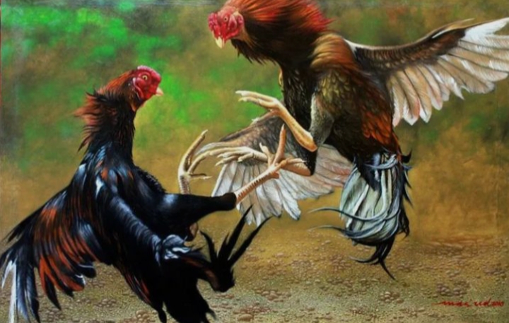 HUKUM DIKALIBENDO MATI DIBUNUH! PERJUDIAN TERANG-TERANGAN DIKELOLA MOJO, POLSEK PASIRIAN DITUDUH SENGaja MELINDUNGI PELAKU