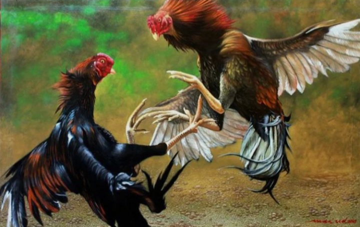 TAK TERSEMBUNYI, TAPI TAK TERJANGKAU HUKUM! PERJUDIAN SABUNG AYAM, DADU DAN CAPJKI BEROPERASI LELUASA DI DESA BANDARAN WINONGAN PASURUAN